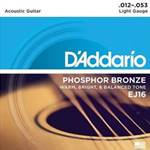 Daddario   EJ16  Phosphor Bronze Lite Strings