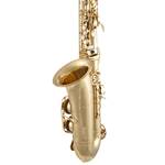 Selmer   SAS411  Preformance Alto Saxophone