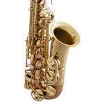 Selmer   SAS411C  Performance Alto Saxophone with Copper Neck and Bell