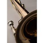 Shires   TBQ30GR  Q-Series Rotor Tenor Trombone Gold Brass Bell