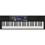Casio   CT-S500  61 semi-weighted keys, AiX Sound Source