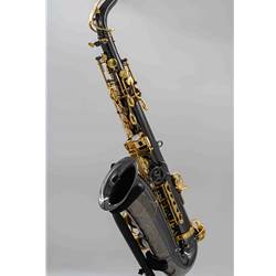 Selmer   SAS411B  Alto Saxophone