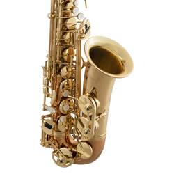 Selmer   SAS411C  Performance Alto Saxophone with Copper Neck and Bell